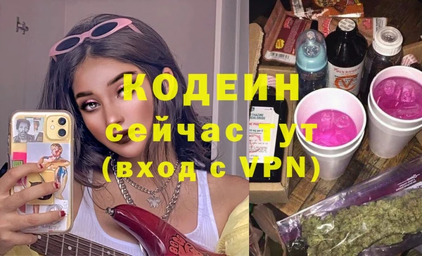 прущие грибы Михайлов