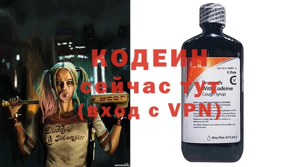 прущие грибы Михайлов