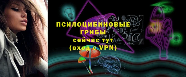 гидра Михайловск