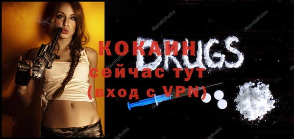 прущие грибы Михайлов