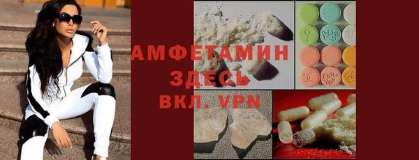 прущие грибы Михайлов