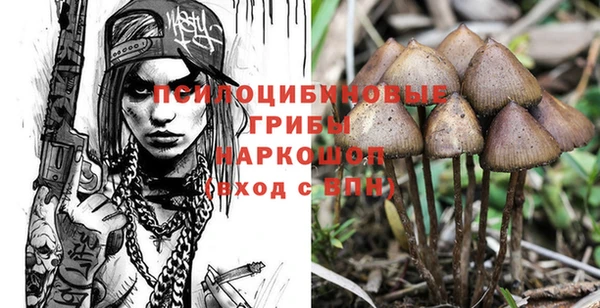наркотики Михайловка