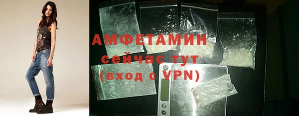 прущие грибы Михайлов