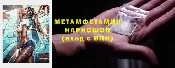 прущие грибы Михайлов