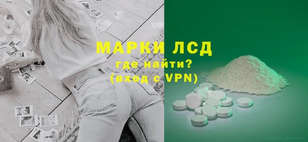 прущие грибы Михайлов