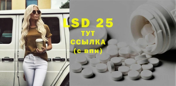 прущие грибы Михайлов