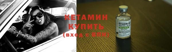 прущие грибы Михайлов
