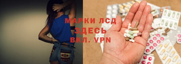 прущие грибы Михайлов