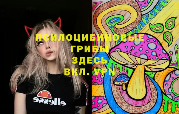 гидра Михайловск