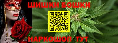 spice Гатчина