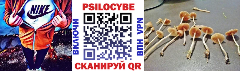 Купить  Керчь  Псилоцибиновые грибы Psilocybine cubensis 