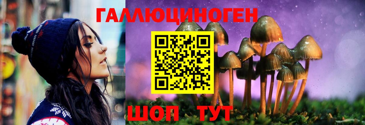 Галлюциногенные грибы Cubensis Керчь