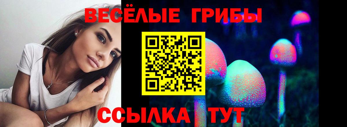 Керчь  Галлюциногенные грибы ЛСД  Вход с VPN 